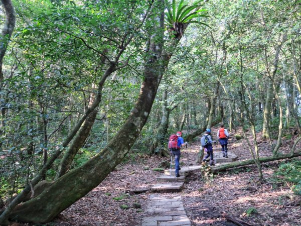 東眼山 拉卡山 卡外山 O形環走1630314