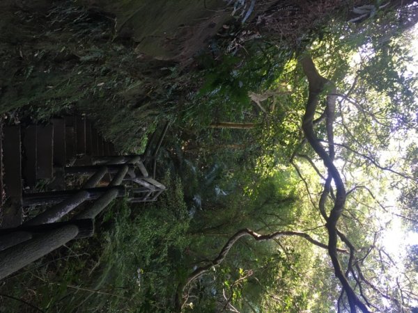 福源山步道、石雲森林步道2358030