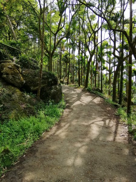 台南白河~台南第一高峰。 關仔嶺大凍山917816