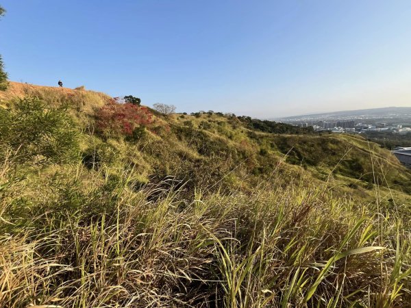 知高圳步道2711615
