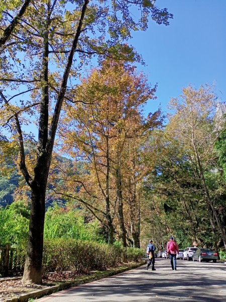 桃園大溪石門水庫楓林步道、齋明寺古道【南山神壽任務】1963943