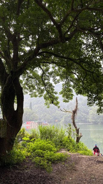 雙石+++牛背2776485