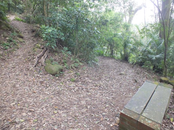 北投區陽峰古道+東昇步道+鼎筆橋步道十八挖水圳步道+猴崁古道+青春嶺步道+大屯瀑布8字走2775633