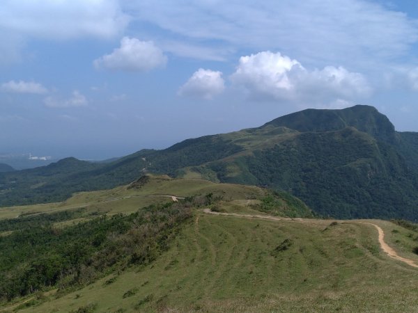 青山藍海水牛群，桃源谷＋小百岳灣坑頭山714391