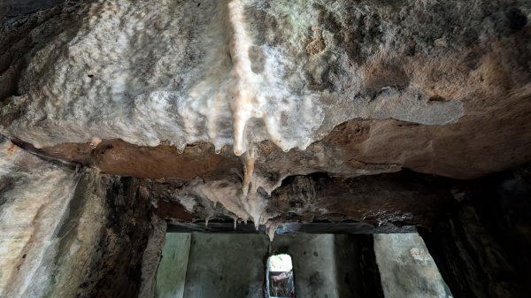 114.12.20劉銘傳隧道-獅球嶺北峰-獅球嶺東砲台山-獅球嶺池-獅球嶺砲台山之旅2966749