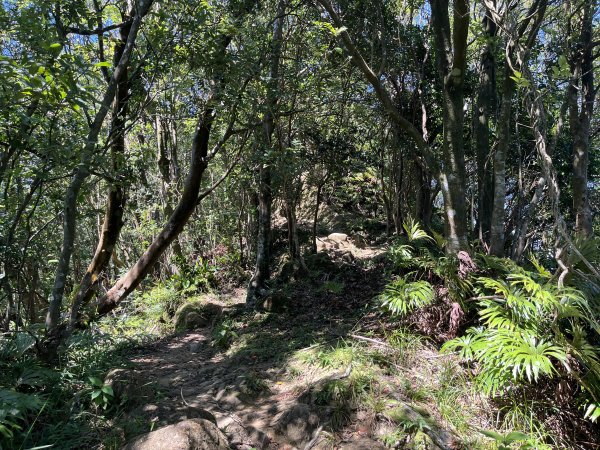 [微笑山線_第九段] 2025_0914 二格山系_天王峰2889562