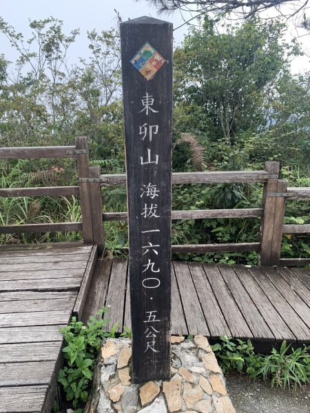 20240609 谷關東卯山(公子登山隊)2523425