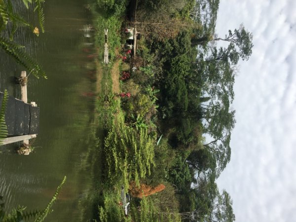 中興林場後山（鑰匙🔑認領2700421