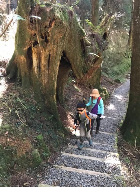 阿里山雙峰大塔山對高岳連走451424