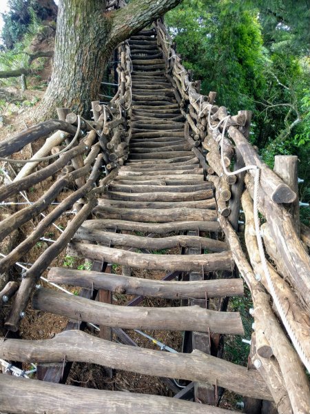 頭嵙山(小百岳#41)大坑4,5,1步道1003706