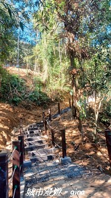 【南投魚池】後尖山步道2968296