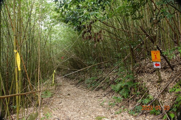 苗栗 南庄 鹿山、鹿坑山2001832