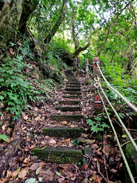 白蘭溪古道-2025森遊竹縣皮皮獅探險隊2895439