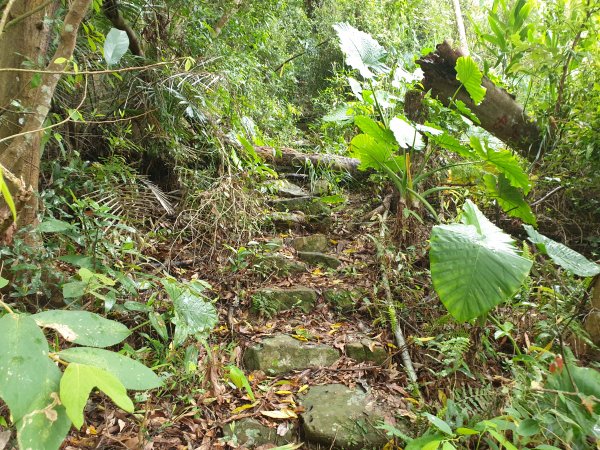 人生之中有點可怕的登山行程......玉女山、金童山及汶水山1552799