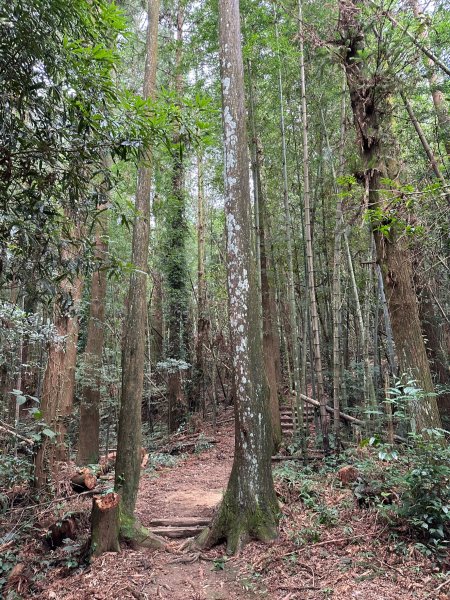 瑞太古道串走奮瑞古道2297971