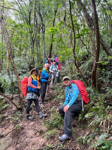 台北縱走第四段訪雙溪山 梅花山與西峰南峰西南峰 碧山3012807