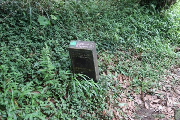 陽明山  菜公坑山 反經石   水車寮步道。林木蓊鬱  豐富的蕨類植披，絕佳避暑古道2174036