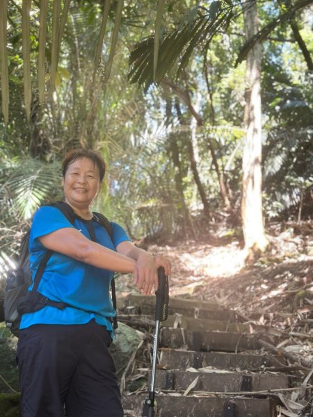 阿里山達娜伊谷、里美避難步道、巨石板步道2909913