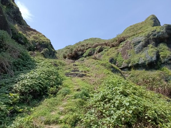 瑞芳區海園古道+鼻頭山稜+門牙岩O型2768334