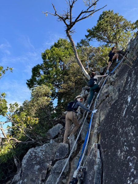 鳶嘴山-稍來山O型縱走(中級山 / 小百岳) 刺激攀岩。山嵐繚繞。傳神小象。杉樹林群。2583538
