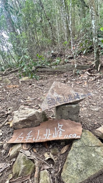 谷關白毛山2685539