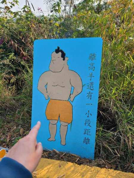 省議會後山步道2730844