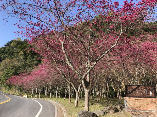 台灣小百岳No.085三星山909822