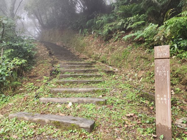 小百岳No.11⛰姜子寮山2430093