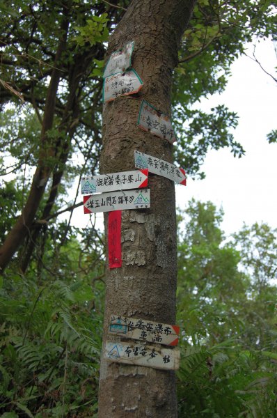石門山(汐止,七堵)1964961