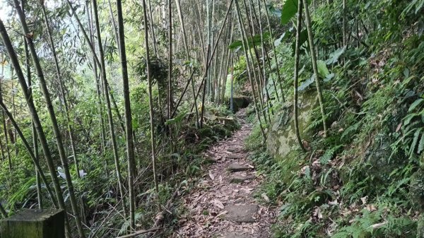20251004 馬那邦山 - 珠湖 登山口2904788