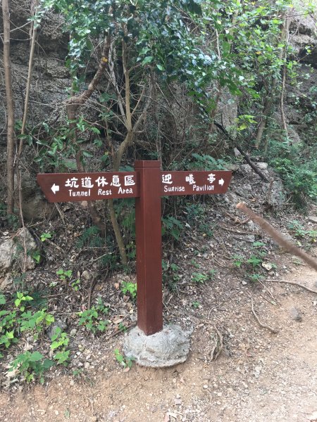 恆春祕境~龜山步道903764