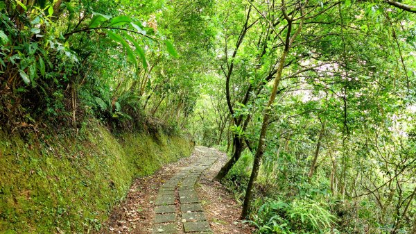 南港四小山。韓美磋2766489