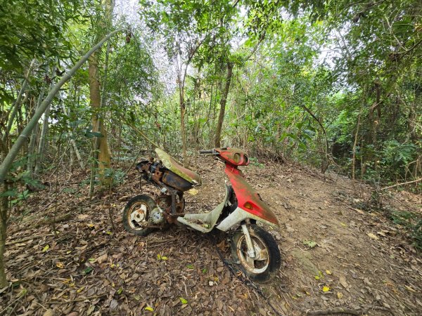 林牛山+聚興山2709928