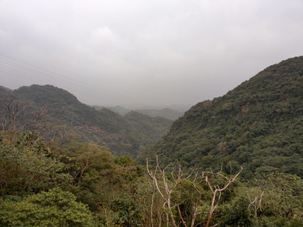 圓覺寺步道1453884