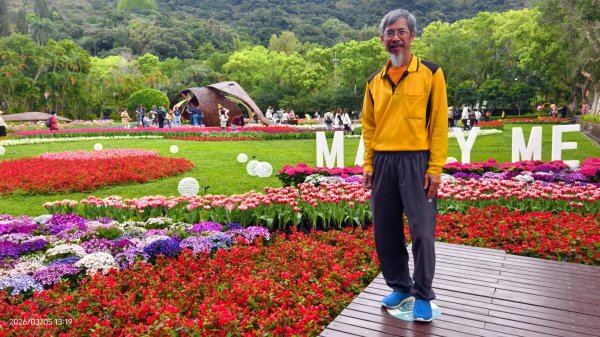 #士林官邸 #鬱金香 #碧山巖 #椿寒櫻 #國父紀念館 #八重櫻 3/5 #三層崎 #嗄嘮別 3/63010412