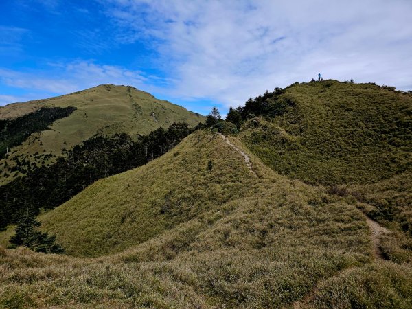 小奇萊步道-(南投)臺灣百大必訪步道2795651
