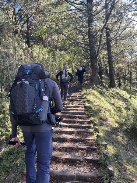 2025/08/17塔塔加、麟趾山、大鐵杉2891616