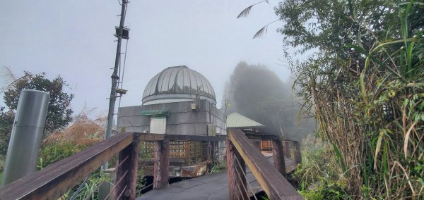 2023-11-25溪頭鳳凰山步道2361028