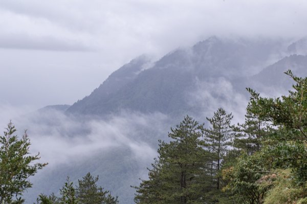 玉山前峰-翻越石瀑的第五座百岳之旅。2254860