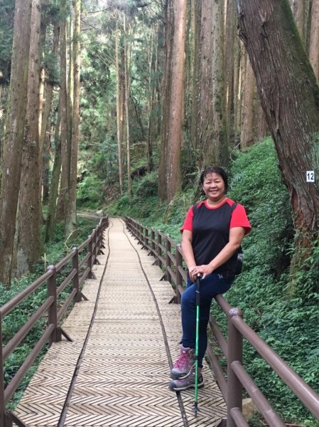 特富野古道賞舊鐵道479695