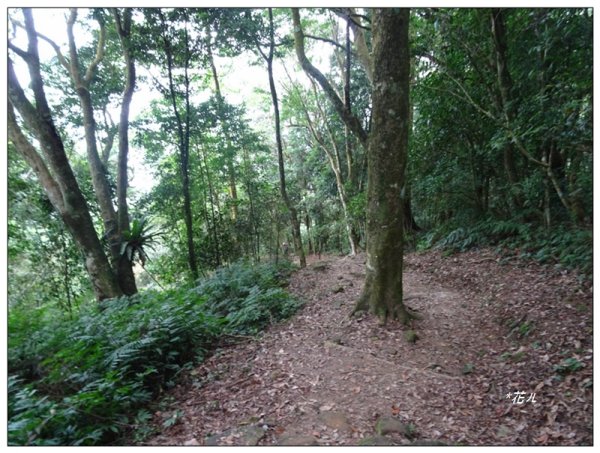 馬那邦山(小百岳)/上湖登山口2427064