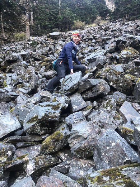 雪山 不下雪532954