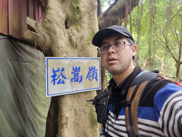 20241231鶯歌尖山-崧嵩嶺-忠義山-鶯歌蛋山-山仔頂山2679962