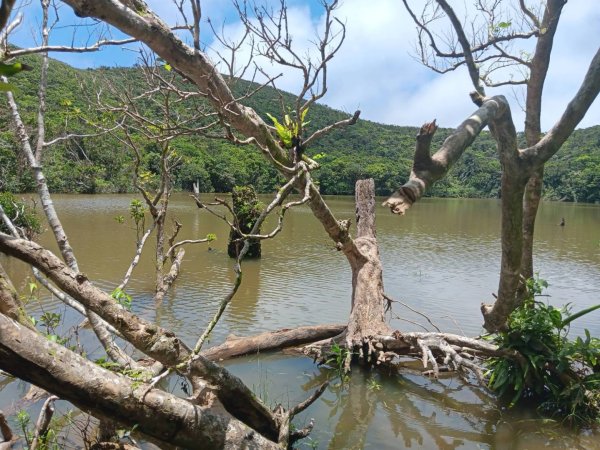 百大步道：蘭嶼大天池步道2804467