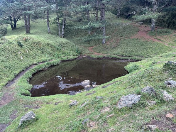 鹿林前山、鹿林山、麟趾山O繞縱走2799647