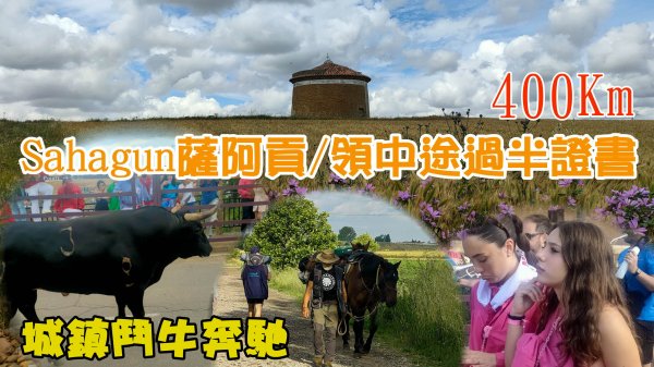 【西班牙朝聖之路 11-15】一半了!領取中途證書，參與當地被牛追的活動，朝聖App使用方法，還有我的朝聖必備三寶