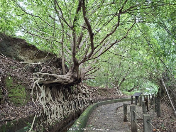 《台中》水圳視野｜烏日知高圳及雪蓮登山步道上學田山20260613