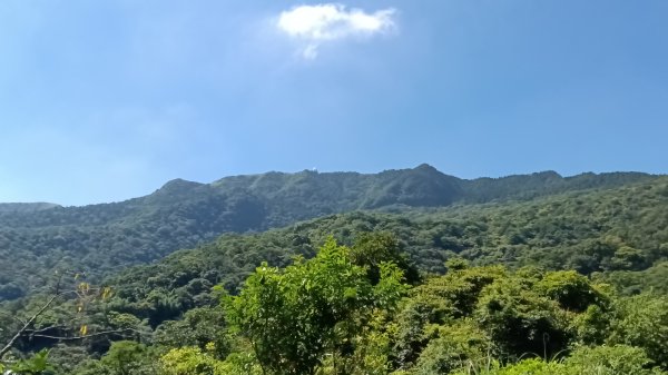 平溪區上天福安宮-粗坑頭崙-五分山西峰-五分山步道去回3088398