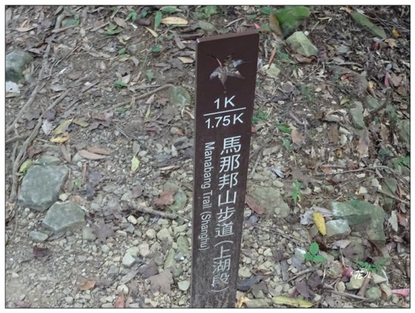 馬那邦山(小百岳)/上湖登山口2427055