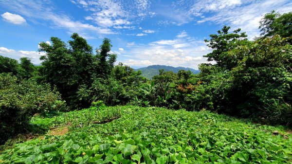 紫微聖母環山步道，五尖山，原住民族生態公園，大平紅橋，三坑自然生態公園1746435